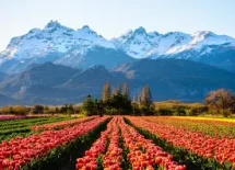 argentina_x400